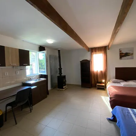 Vila Cristina Timisoara